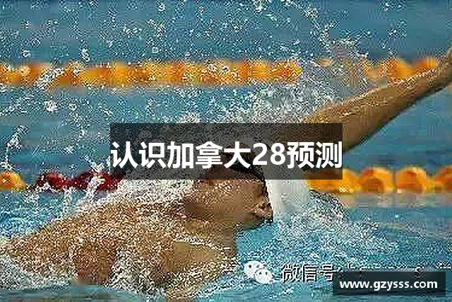 认识加拿大28预测